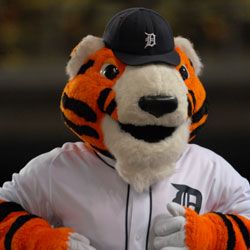 Tigers third picture